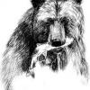 Аватар для Медведь