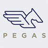 Аватар для pegas