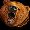 Аватар для BearFX